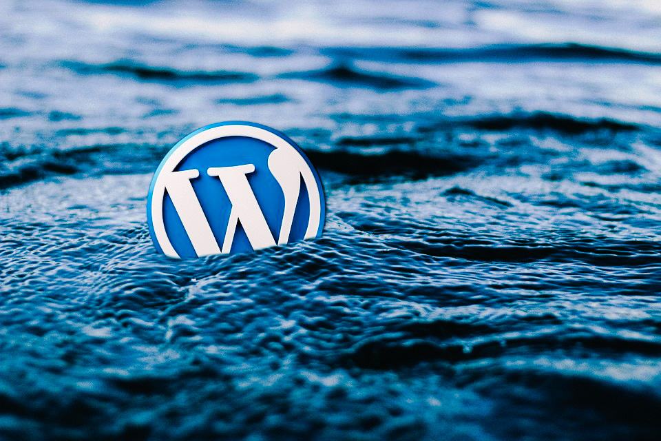 wordpress specialist Upgrade Your Websites in SEO with WordPress Specialist