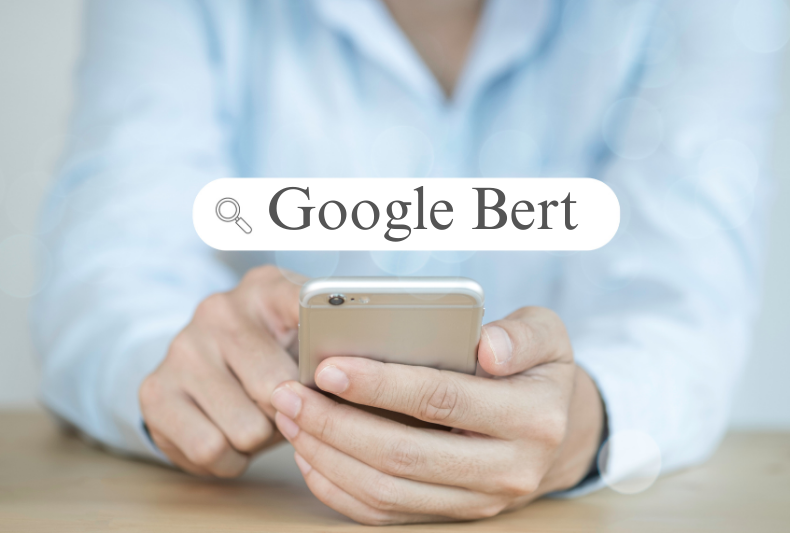 The Power of the Google BERT Algorithm