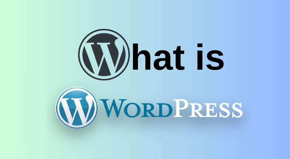 What Is WordPress? Build A Powerful Online Website